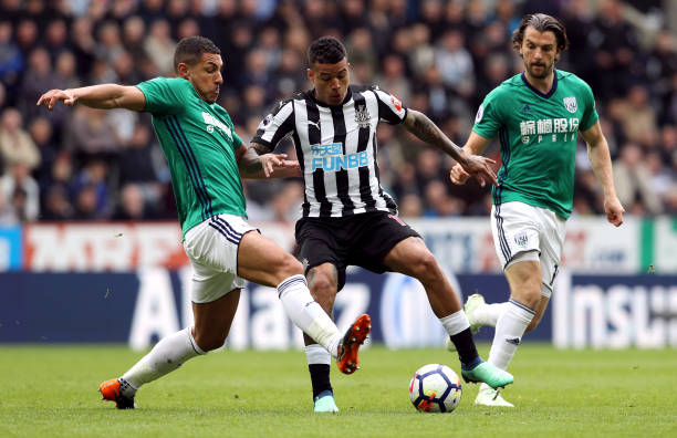 仅看到了一 仅看到了一