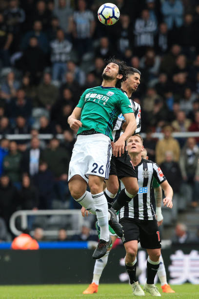 和果敢拼搏 和果敢拼搏