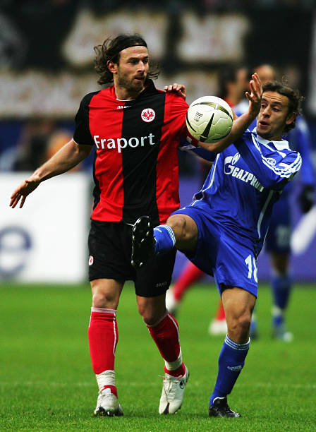 稳定发挥的 稳定发挥的